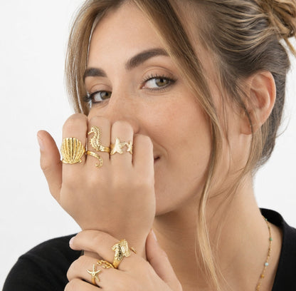 Anillo Liso Abierto Concha Martillada | Acero Inoxidable