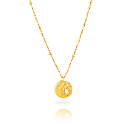 Collar Concha de Nácar – Acero Inoxidable 316L