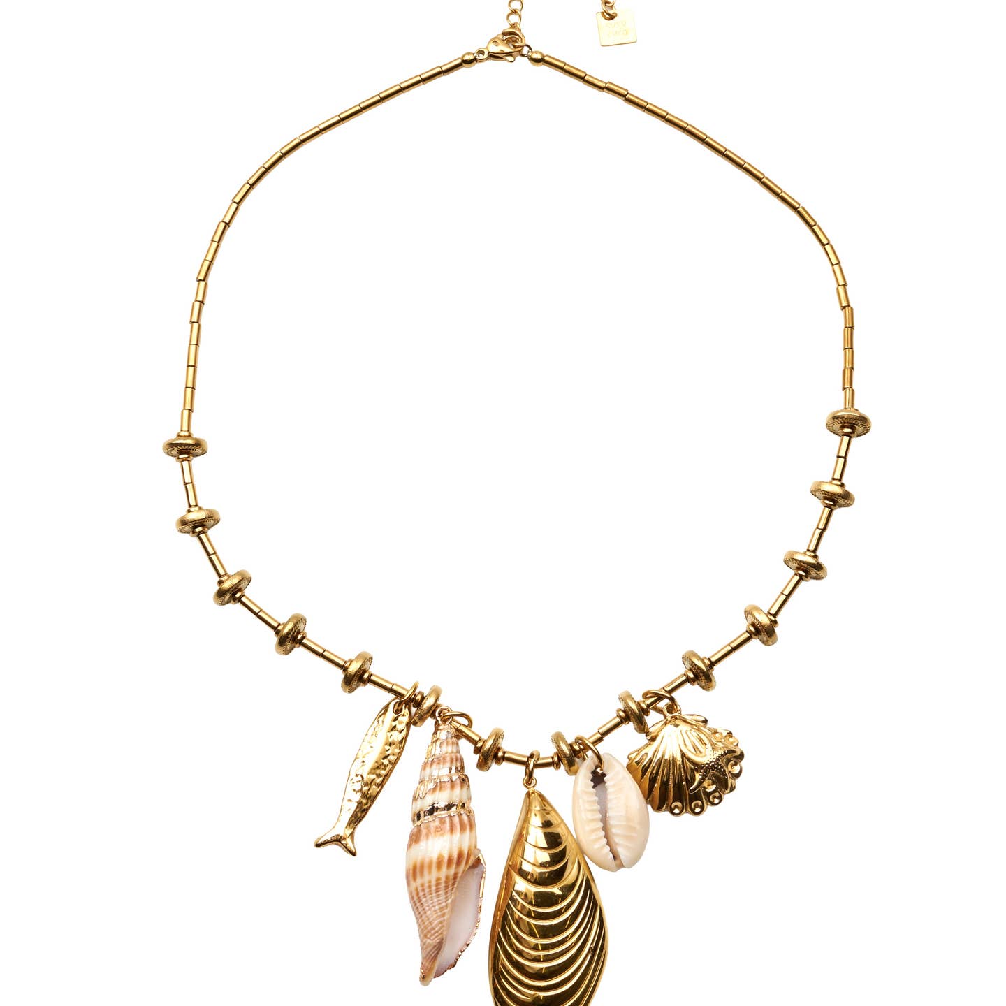 Collar Costa Dorada - Acero Inoxidable