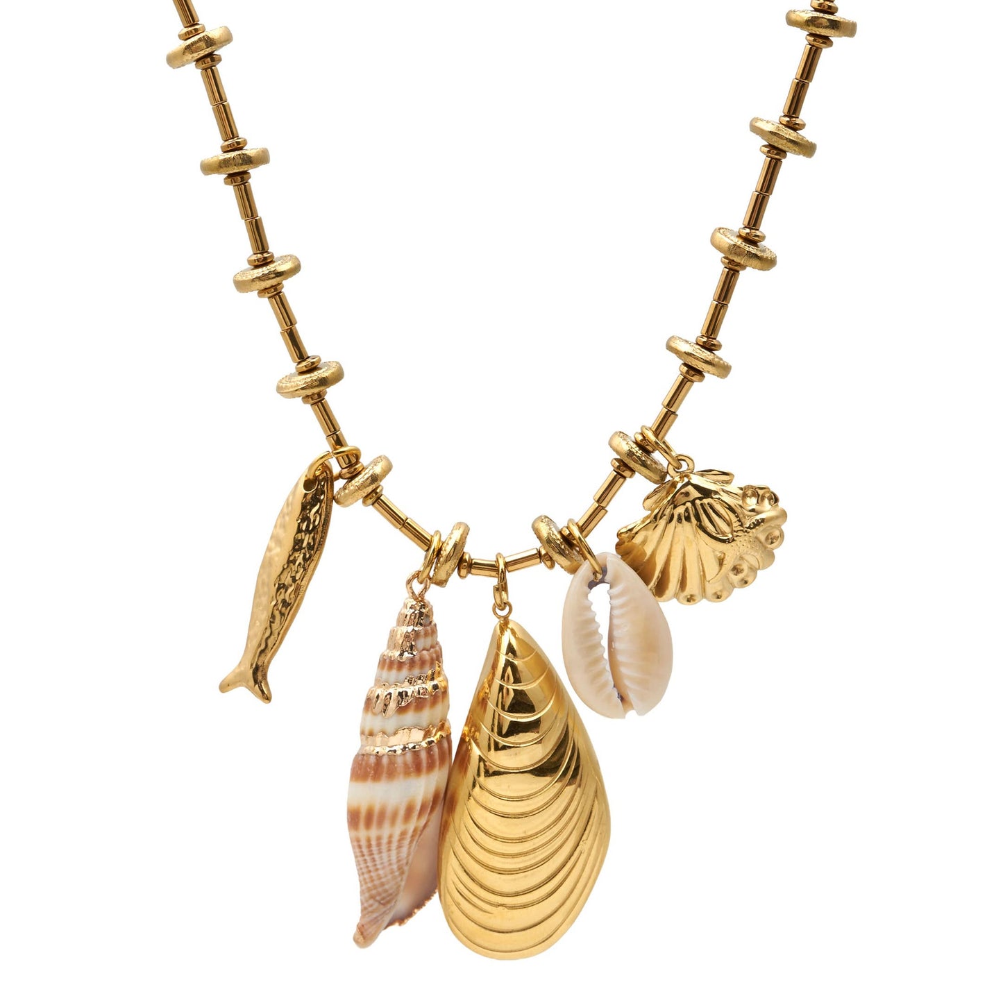 Collar Costa Dorada - Acero Inoxidable